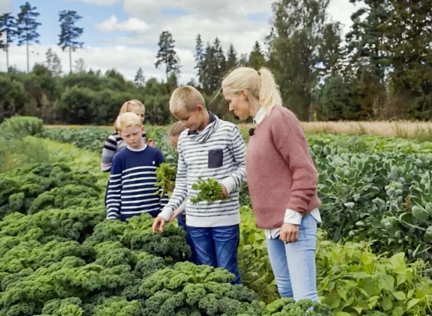 Berit Nordstrand harvesting kale in a garden with children
